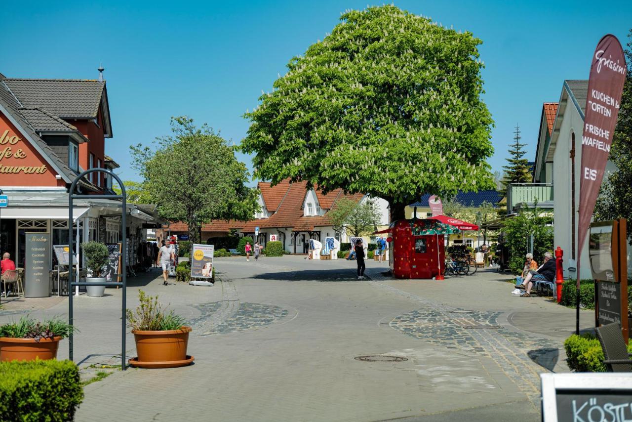 Ferienwohnungen Meerfarbig Zingst - Haustierfrei -Terrasse Mit Strandkorb Oder Balkon - E-Ladesaeule - Parkplatz - Wlan - Fahrradschuppen - Waschtrockner - Ruhig Und Zentral - Nichtraucher Esterno foto